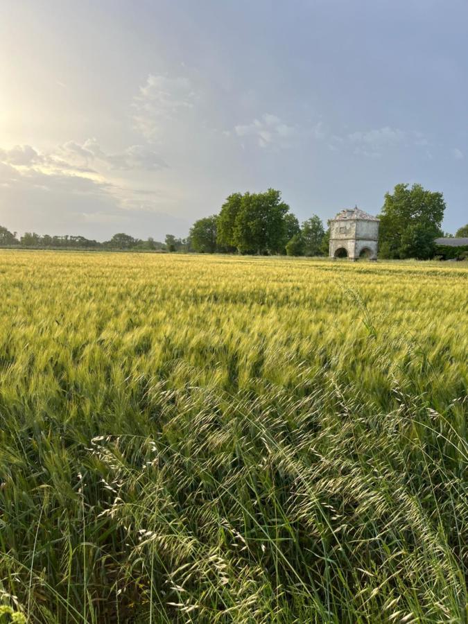 Suite A La Villa Cattus Bram Buitenkant foto